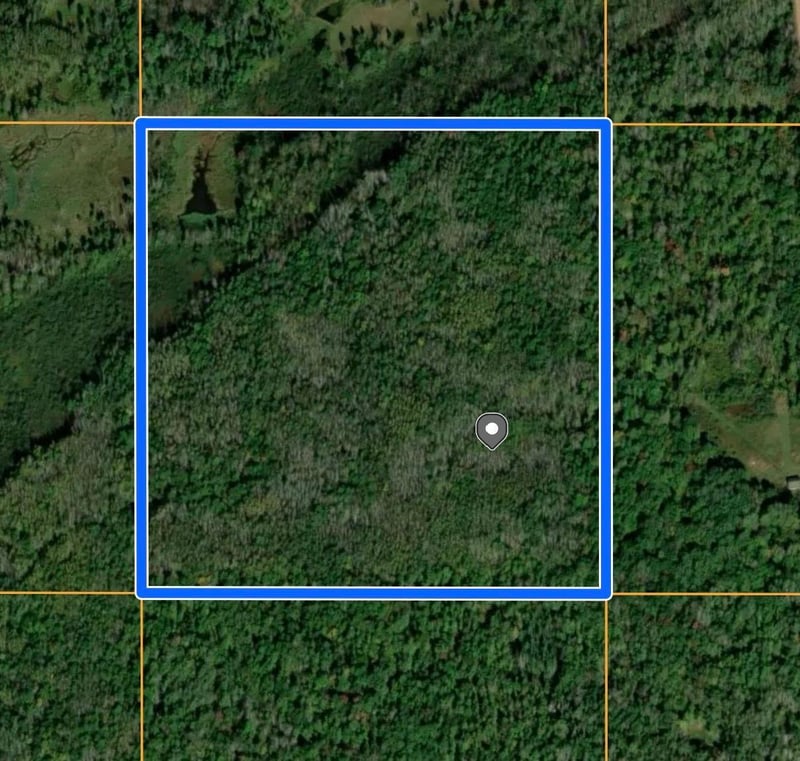 TBD Old Grade, Pine River, MN 56474