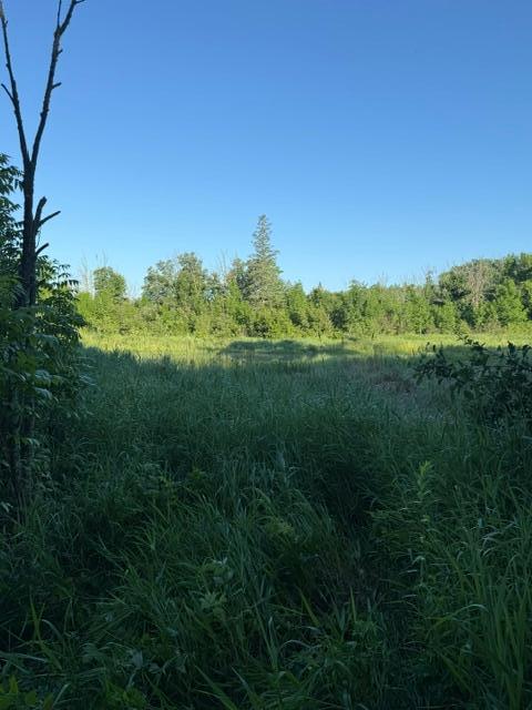 TBD Old Grade, Pine River, MN 56474