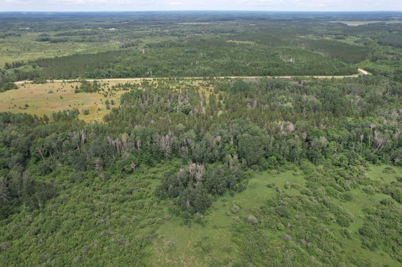 TBD- 350th St, Menahga, MN 56464