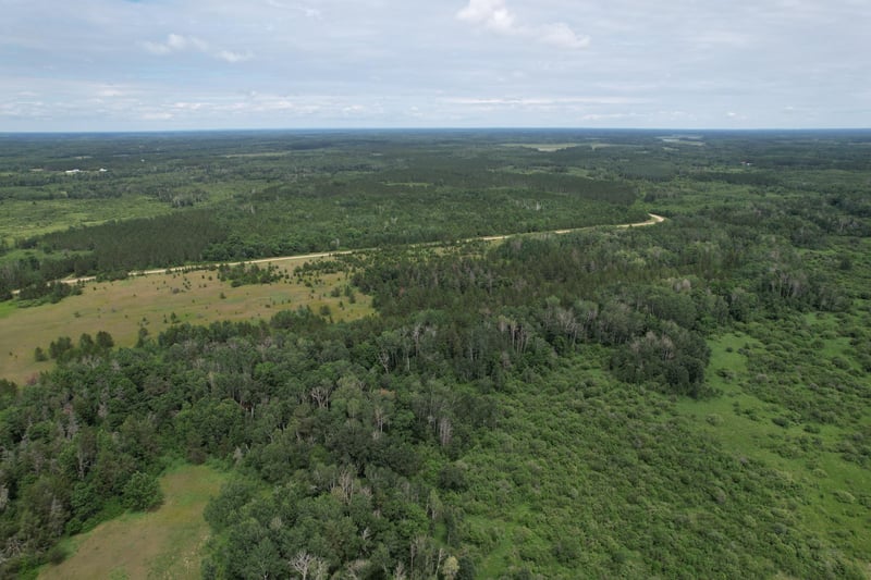TBD- 350th St, Menahga, MN 56464