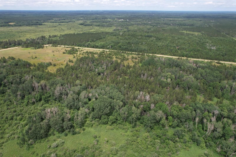 TBD- 350th St, Menahga, MN 56464