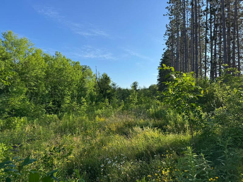 TBD-2 N Riverside Rd, Moose Lake, MN 55767
