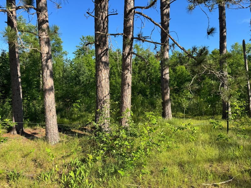 TBD-2 N Riverside Rd, Moose Lake, MN 55767