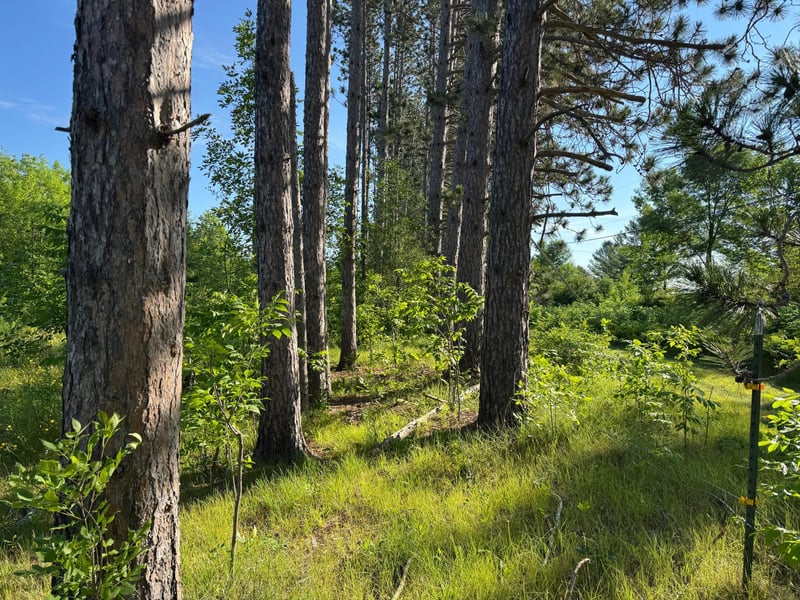 TBD-2 N Riverside Rd, Moose Lake, MN 55767