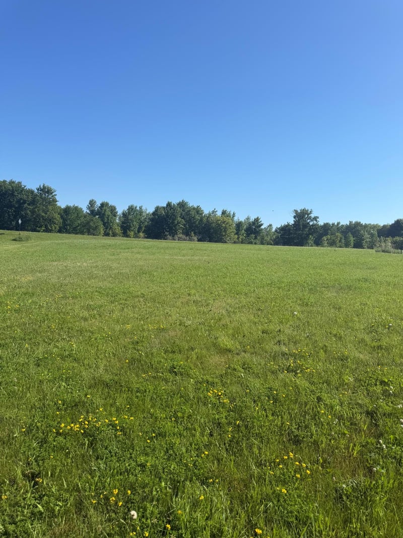 TBD Hummingbird Ln SW, Alexandria, MN 56308