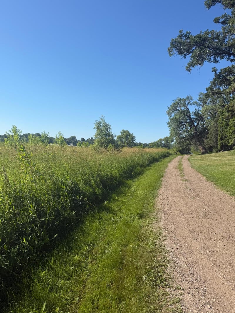 TBD Hummingbird Ln SW, Alexandria, MN 56308