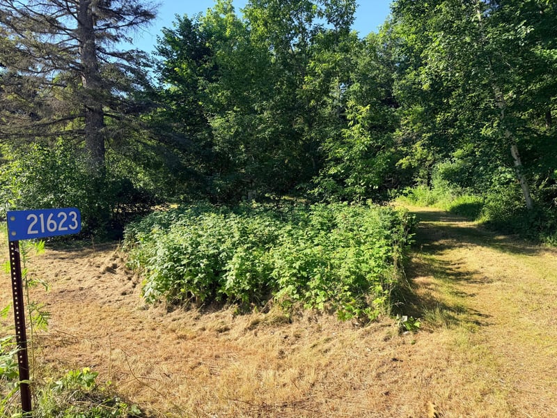 21623 County Road 28, Ironton, MN 56455
