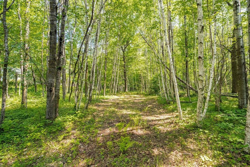 2592 Strandberg Rd, Barnum, MN 55707