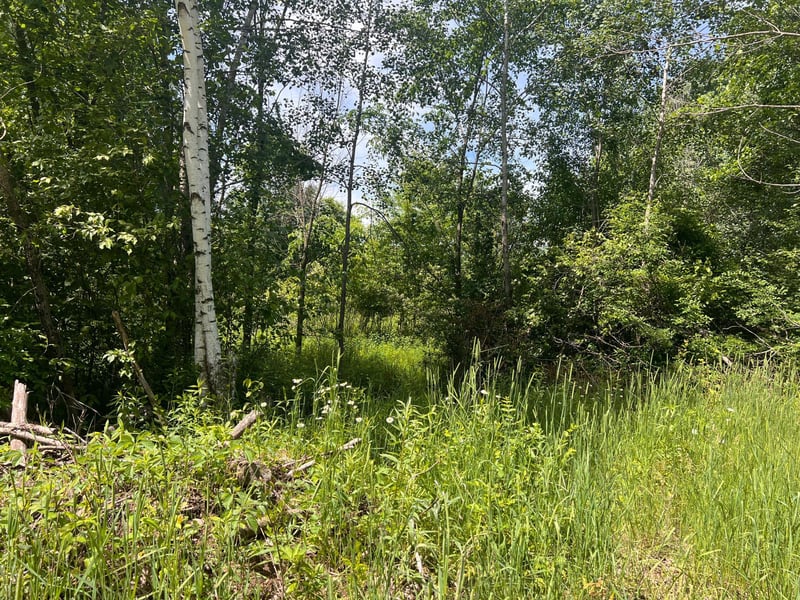 132 90th Ave, Clayton, WI 54004