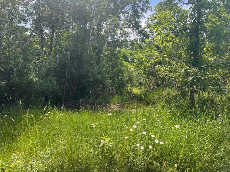 132 90th Ave, Clayton, WI 54004