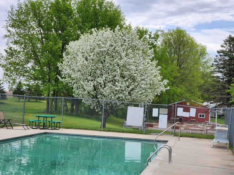 2945 County Road 4 SW #321, Cokato, MN 55321