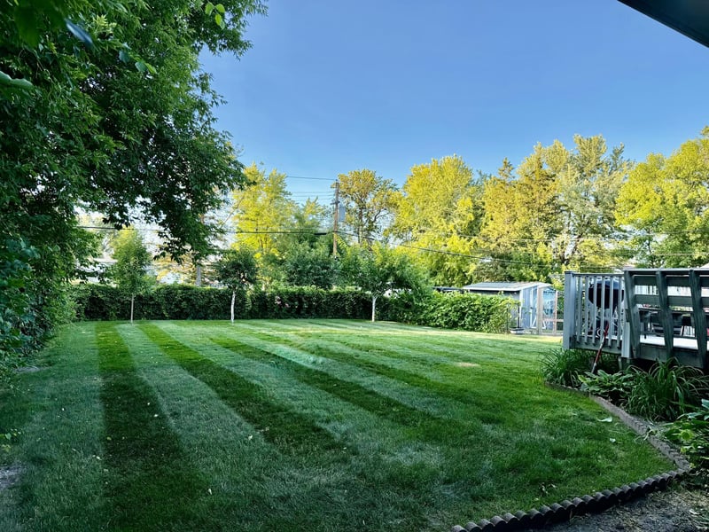 909 2nd St NE, Roseau, MN 56751