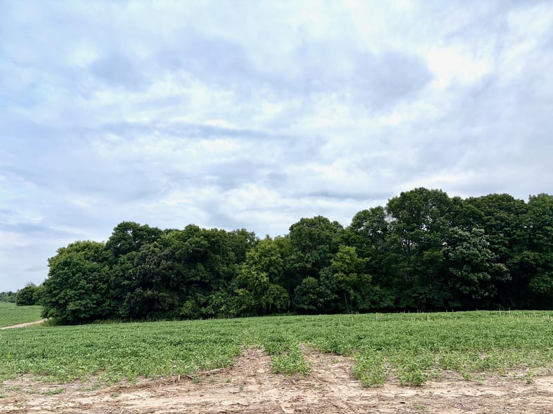 0 County Road 5 NW, Isanti, MN 55040