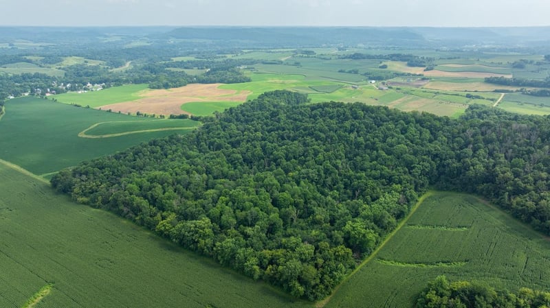 0 County Road J, Mondovi, WI 54755