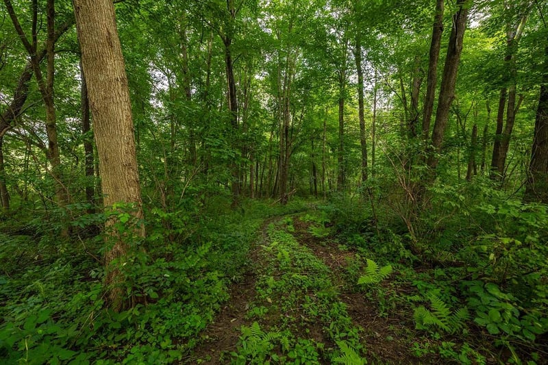 0 County Road J, Mondovi, WI 54755