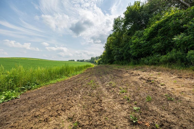 0 County Road J, Mondovi, WI 54755