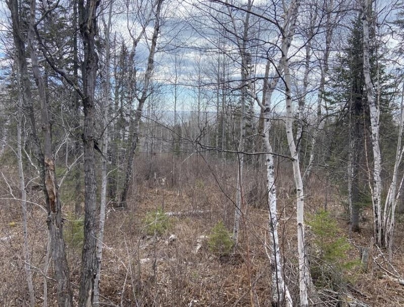 000 Aspen Ln, Silver Bay, MN 55614