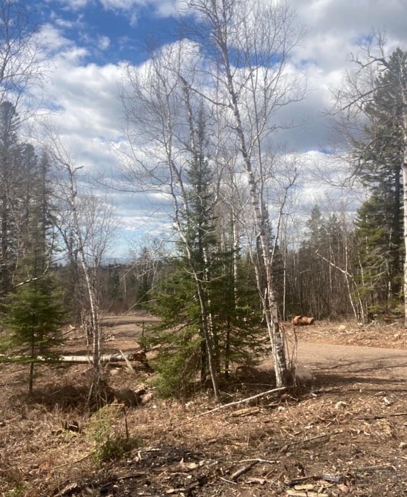 000 Aspen Ln, Silver Bay, MN 55614