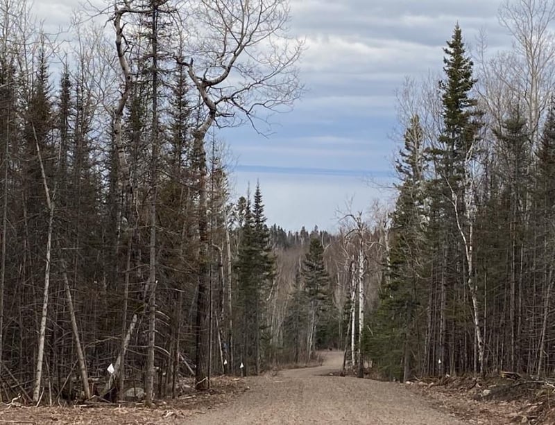 000 Aspen Ln, Silver Bay, MN 55614