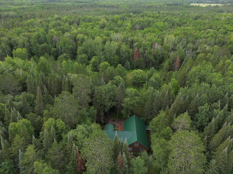 14085 Snapping Turtle Ct NE, Bemidji, MN 56601