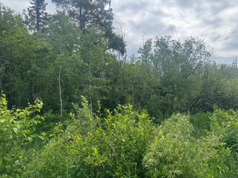 3xxx Quaal Rd, Forbes, MN 55738