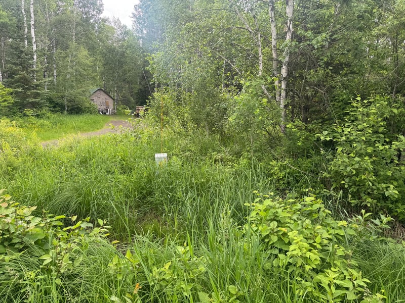 3xxx Quaal Rd, Forbes, MN 55738