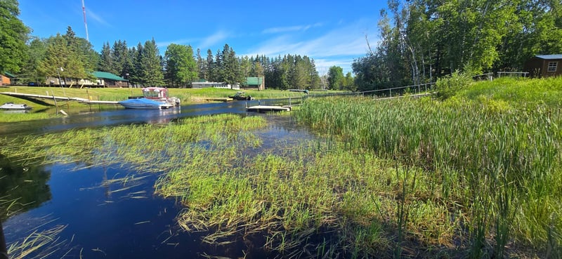 17251 East Pine Dr NW, Angle Inlet, MN 56711