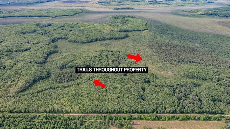 TBD Xxx Digs Dr, Wright, MN 55798