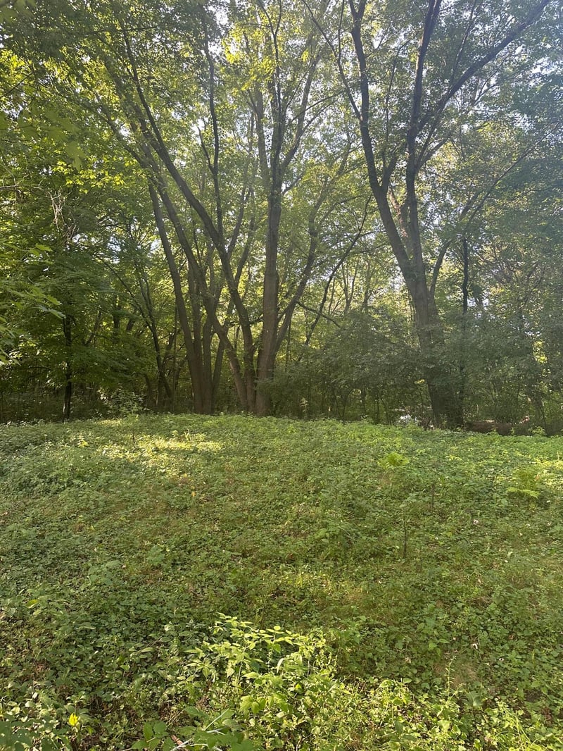 14698 190th Ave NW, Elk River, MN 55330