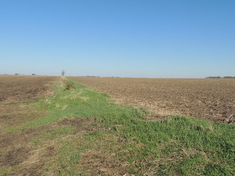 TBD 740th Ave, Grand Meadow, MN 55936