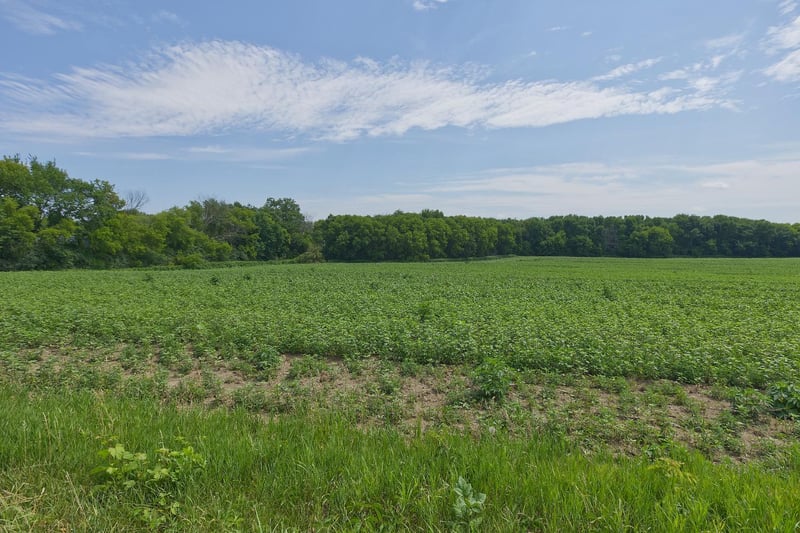 TBD Ingram Ave SW, Howard Lake, MN 55349