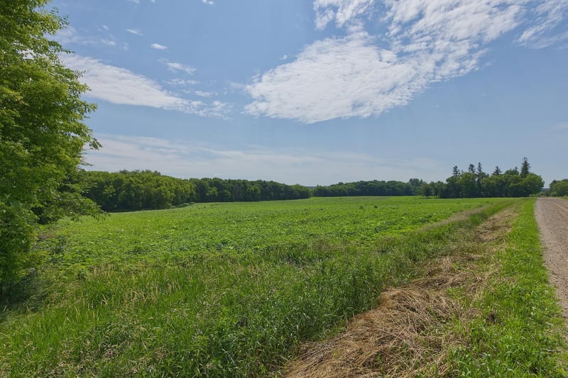 TBD Ingram Ave SW, Howard Lake, MN 55349