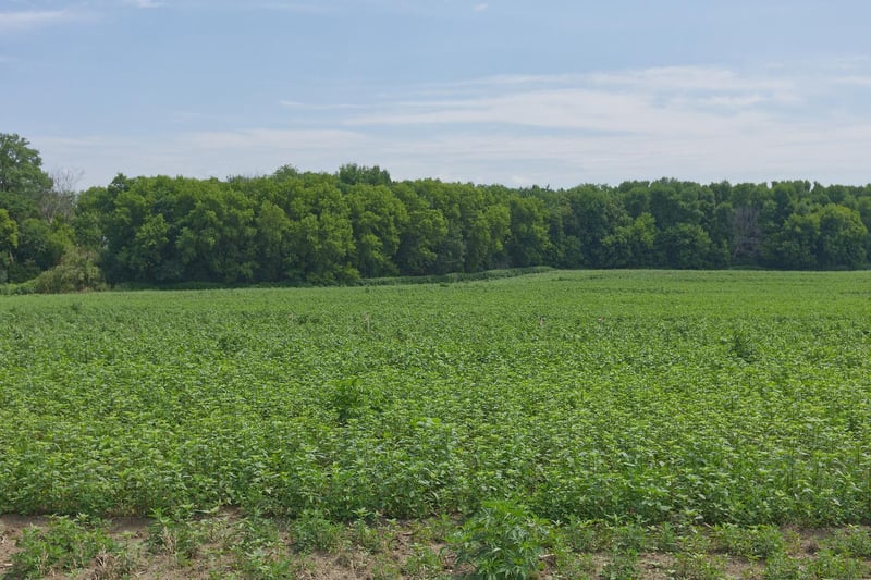 TBD Ingram Ave SW, Howard Lake, MN 55349