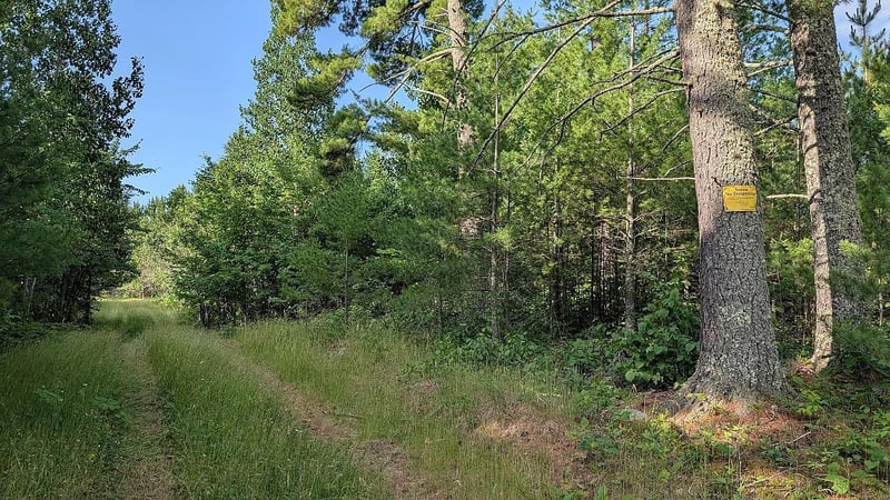 7952 Highway 24, Orr, MN 55771