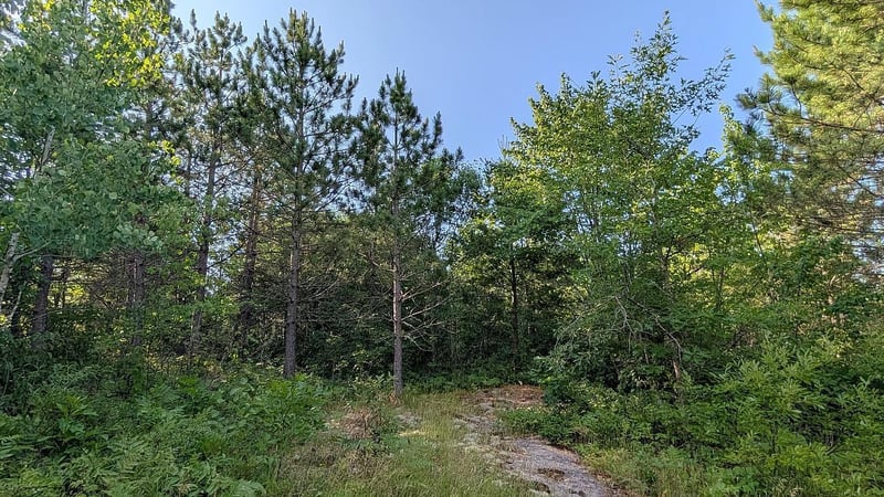 7952 Highway 24, Orr, MN 55771