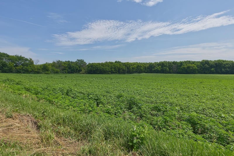 TBD2 Ingram Ave SW, Howard Lake, MN 55349