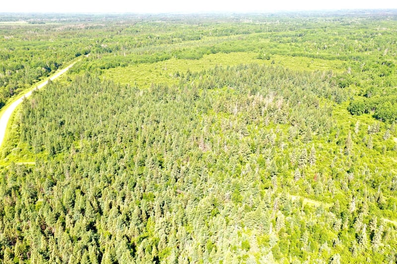 2359 County Road 8, Holyoke, MN 55749