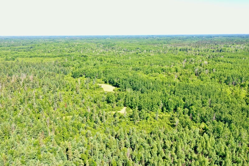 2359 County Road 8, Holyoke, MN 55749