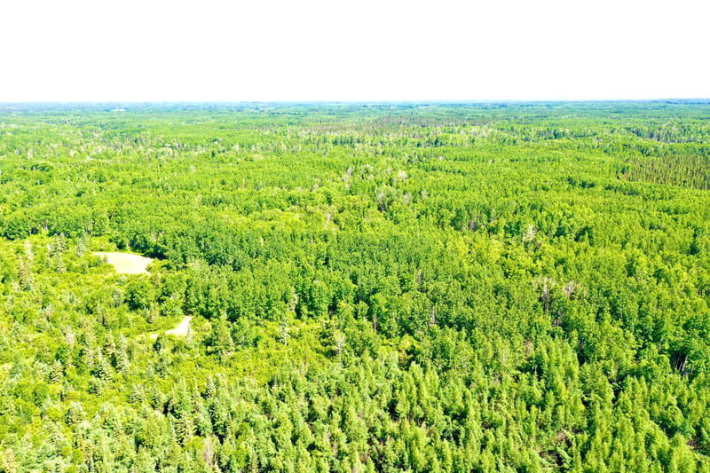 2359 County Road 8, Holyoke, MN 55749