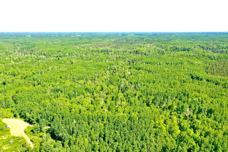 2359 County Road 8, Holyoke, MN 55749