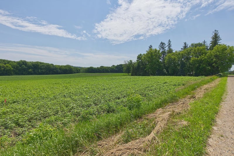 TBD3 Ingram Ave SW, Howard Lake, MN 55349