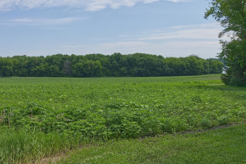 TBD3 Ingram Ave SW, Howard Lake, MN 55349