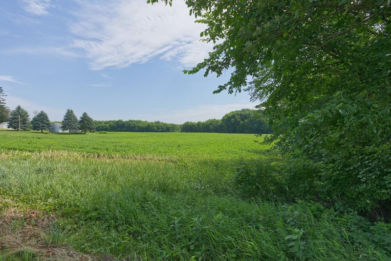TBD5 Ingram Ave SW, Howard Lake, MN 55349