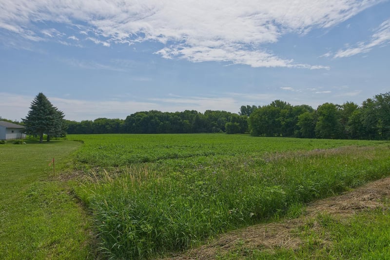 TBD5 Ingram Ave SW, Howard Lake, MN 55349
