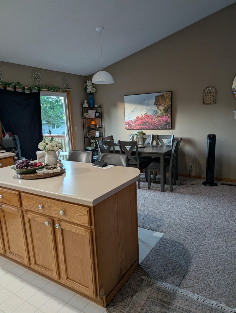 137 Barony Rd, Le Sueur, MN 56058