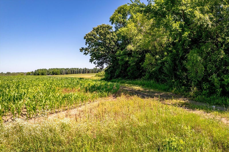 XXX Sugarbush Rd, Nowthen, MN 55330