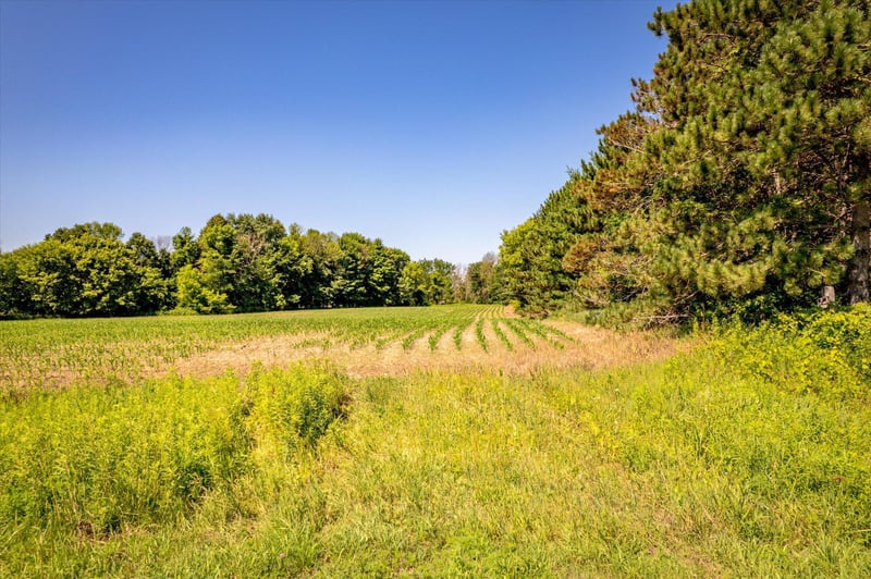 XXX Sugarbush Rd, Nowthen, MN 55330