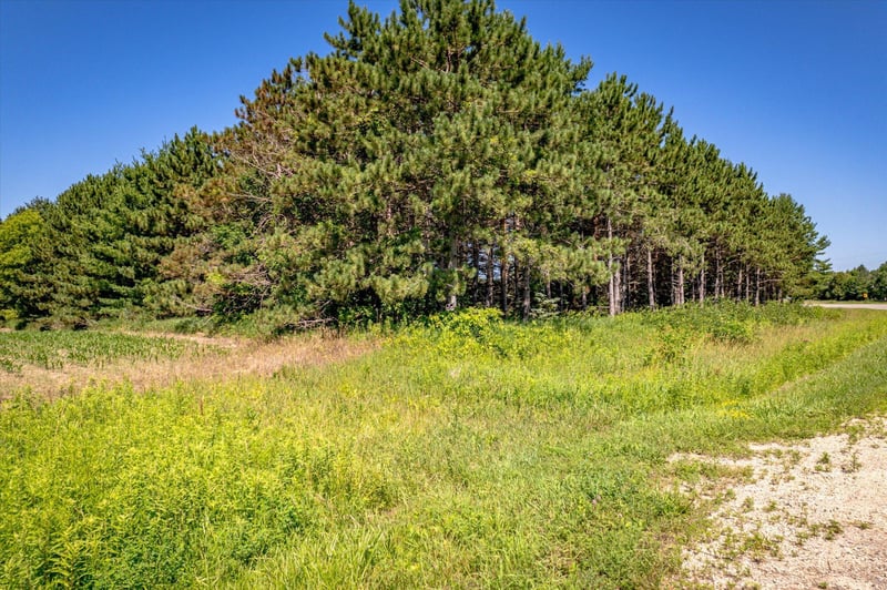 XXX Sugarbush Rd, Nowthen, MN 55330