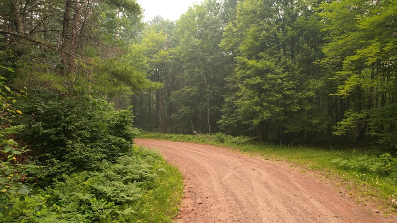 TBD N Loop Rd, Drummond, WI 54832