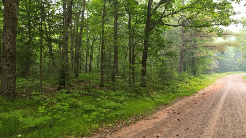 TBD N Loop Rd, Drummond, WI 54832